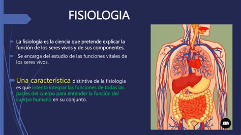 FISIOLOGIA TEMA 1 Organizacion FuncionL DEL CUERPO HUMANO PPT