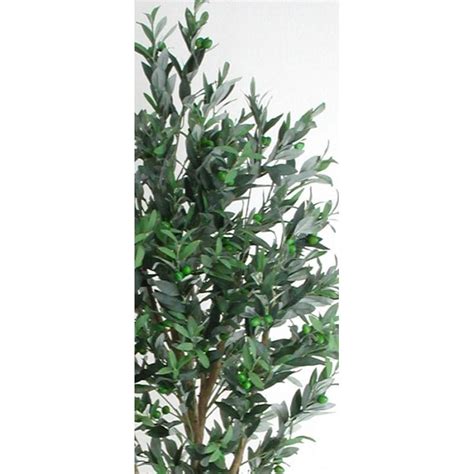 Semi Natural Olive Tree With Fruits Mansanisi Trunk Verdevip