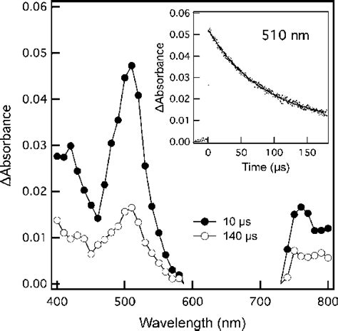 Nanosecond Transient Absorption Spectra Of Triad 9 In Deaerated