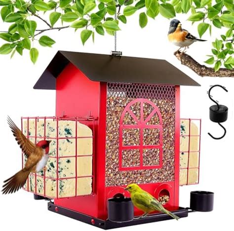 Amazon Bird Feeders For Outdoors Hanging Way2Furn Wild Bird