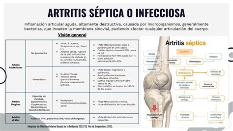 Artritis séptica etiología y fisiopatología Alejandro uDocz