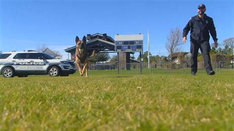 North Myrtle Beach Police Department hosts first-ever K-9 competition ...