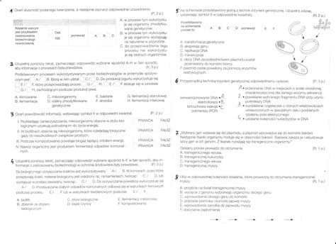 Powt Rzenie Z Biotechnologii Daje Pkt Brainly Pl