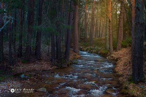 En El Bosque Pruebas De Reducci N De Ruido A Iso H M Murdock