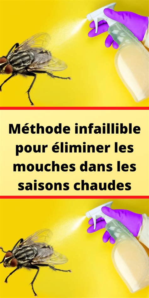 Méthode infaillible pour éliminer les mouches dans les saisons chaudes