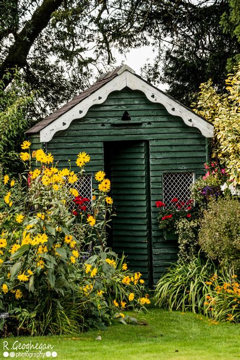 Diy Modern Shed Project Never Say Goodbye
