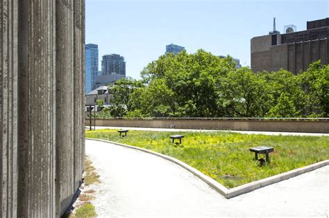 Green Roof At Toronto City Hall Is A Hidden Downtown Escape