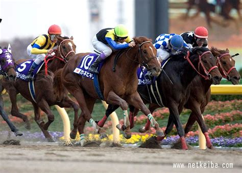 【チャンピオンズカップ・データ】強豪集うダート王決定戦を2勝した名馬は2頭 競馬まとめ Netkeiba