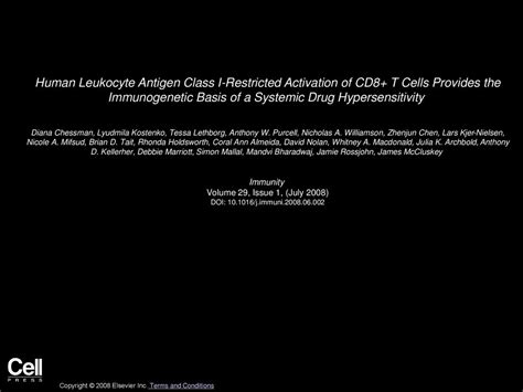 Human Leukocyte Antigen Class I Restricted Activation Of Cd T Cells