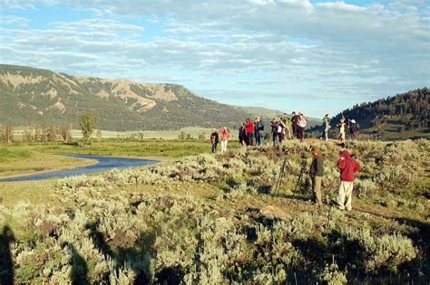 How To Spend A Simply Awesome Day In Yellowstones Lamar Valley — Simply Awesome Trips