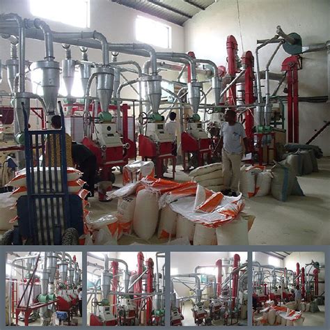 Hammer Roller Maize Corn Grits Flour Mill Milling Processing Plant