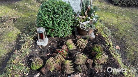 Vermeintliche Vandalen Auf Dem Waldfriedhof Entpuppen Sich Als