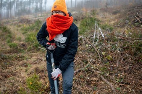 RABEN Nasadzenia W Gminie I Parku Narodowym Fundacja Aeris Futuro