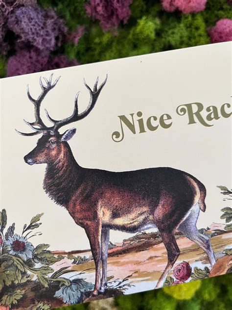 Nice Rack Funny Deer Card - Love Friendship Birthday – A.MANO Brooklyn