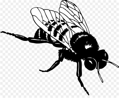 Free Honey Bee Silhouette Download Free Honey Bee Silhouette Png