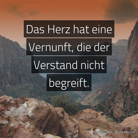 Spruch Das Herz Hat Eine Vernunft Die Der Verstand Sagdas