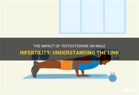 The Impact Of Testosterone On Male Infertility Understanding The Link Medshun