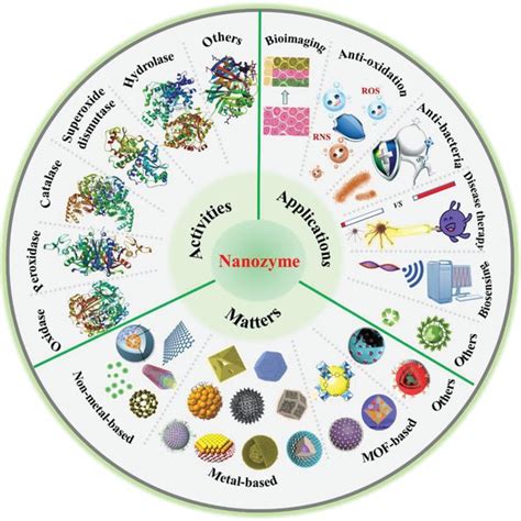 Recent Advances in Nanozymes: From Matters to Bioapplications | Request PDF