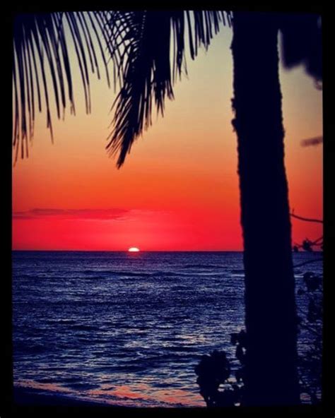 A Magical Sunset 🌇 On The Beach 🌊 With Palm 🌴 Tree 👌 ☺ 💖 Beach Sunset