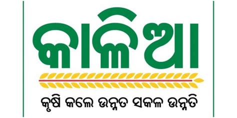 Kalia Yojana Odisha Govt Disburses Rs Crore To Lakh Farmers