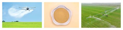 Application Of Corn Steep Liquor Powder As Foliar Fertilizer