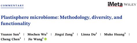 Imeta 中国农业大学汪杰组“塑料际”微生物最新综述 Csdn博客