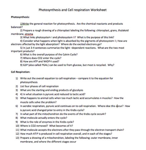 Solved Name Date Period Worksheet Cellular Respiration Chegg