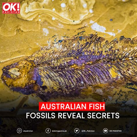 AUSTRALIAN FISH FOSSILS REVEAL SECRETS - OK! Pakistan