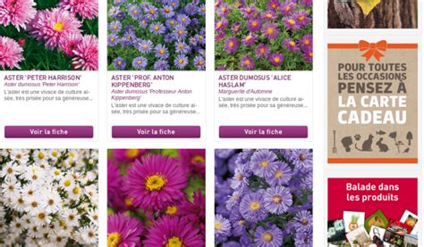 resilier sa carte jardiland adresse conditions loi chatel