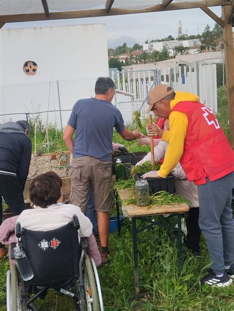 Nuestro Huerto Tertapeútico continua avanzando con la colaboración del