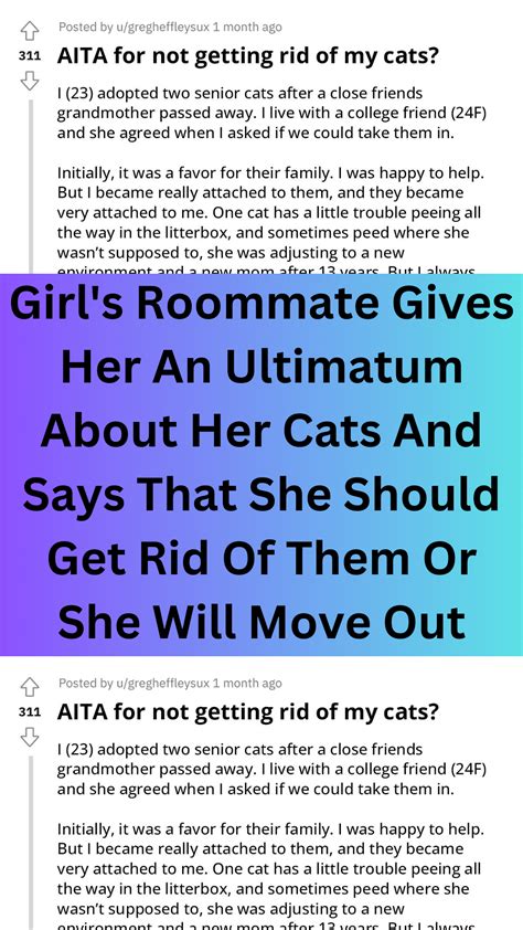 Girl S Roommate Gives Her An Ultimatum About Her Cats And Says That She