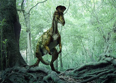 Cryolophosaurus Dinosaur Revolution Wiki Fandom