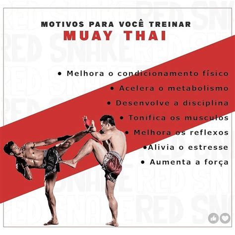 Red Snake Muay Thai no Instagram O Muay Thai só traz benefícios a