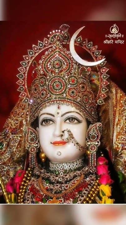 🙏🌹 जय मां दुर्गा 🌹🙏 नवरात्रि स्पेशल नवरात्र में मां के पावन दर्शन