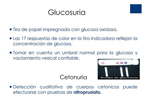 Criterios Diagnosticos De Diabetes Mellitus Ppt