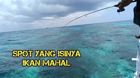 Mancing Di Spot Ikan Kerapu Youtube