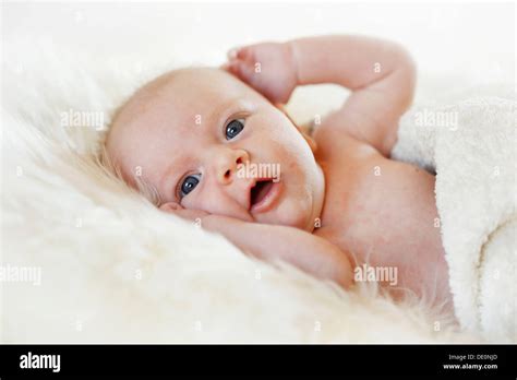 Head Shot Sheepskin Hi Res Stock Photography And Images Alamy