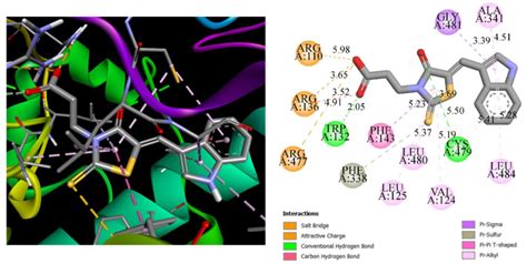 The Predicted Binding Mode For The Les 6614 With The Homology Model Of