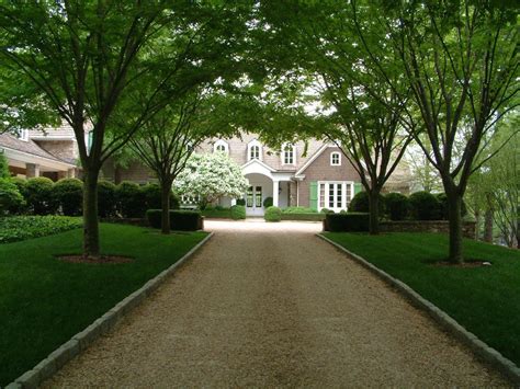 Modern Mansion Driveway