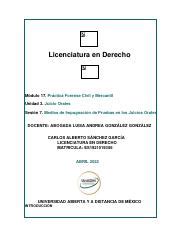 M U S Casg Pdf Licenciatura En Derecho M Dulo Pr Ctica