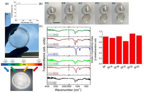 Jfb Free Full Text Development Of Salmon Sperm Dna Regenerated Silk