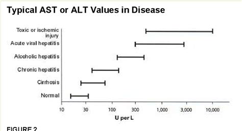 Causes of high ast levels: AST Test: MedlinePlus Medical Test