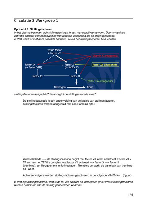 Circulatie Wg Word Circulatie Werkgroep Opdracht