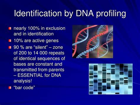 Ppt Identification Classic And Dna Powerpoint Presentation Free