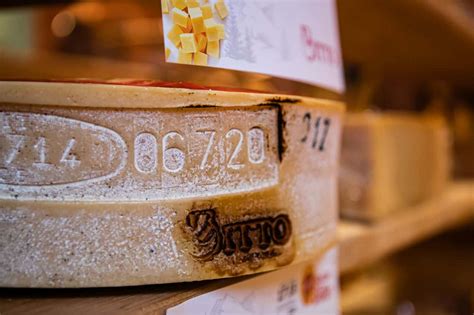 Mostra Del Bitto La Valtellina Celebra Il Formaggio Orgoglio E Simbolo