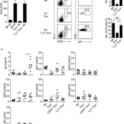 Induction Of B Cell Iga By T H 17 Cells A Quantitative Pcr Analysis Download Scientific