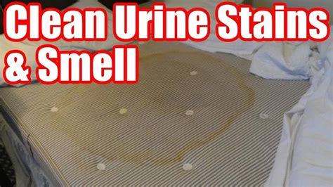 Urine Bed Stains