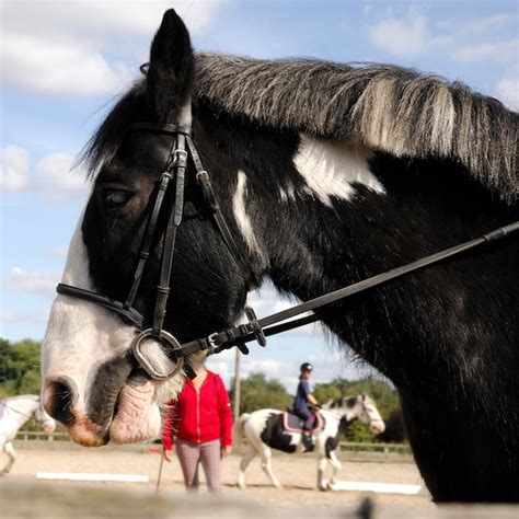 premium photo people riding horse  ranch  sky