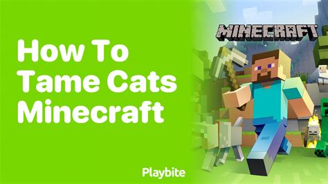 How To Tame Cats In Minecraft A Fun Guide Playbite