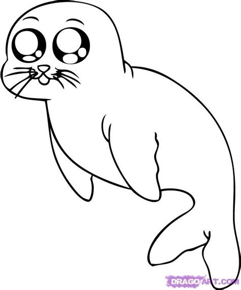 Harp Seal Coloring Page